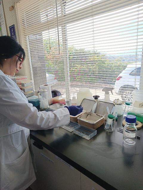 Una persona está trabajando en un laboratorio con diversos instrumentos científicos sobre la mesa.