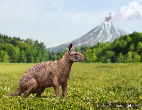 Un animal parecido a un roedor se encuentra en un campo verde con un volcán humeante de fondo.
