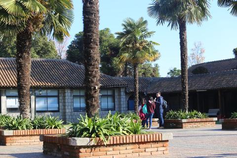 Una escena en un jardín con palmeras y un grupo de personas caminando.