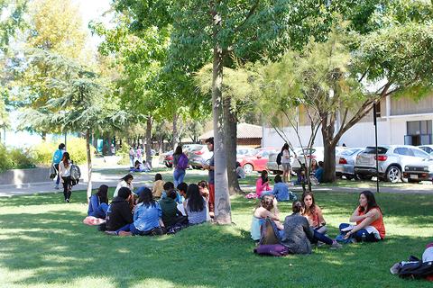 Un grupo de estudiantes se reúne al aire libre en un parque escolar para socializar y descansar.