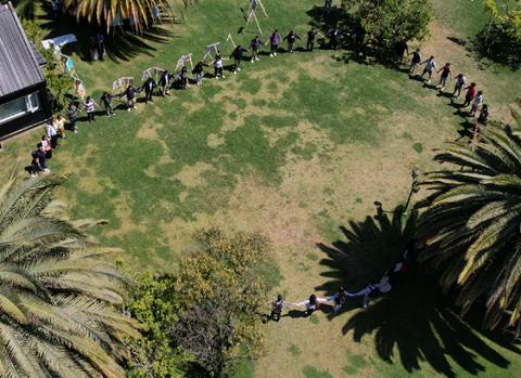 Un grupo de personas está formando una cadena en un parque rodeado de palmeras.