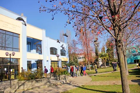 Un grupo de personas camina por un parque frente a un edificio con árboles y aves alrededor.