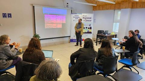Una presentación en un taller sobre el Plan Regional de Cáncer con participantes sentados en una sala.
