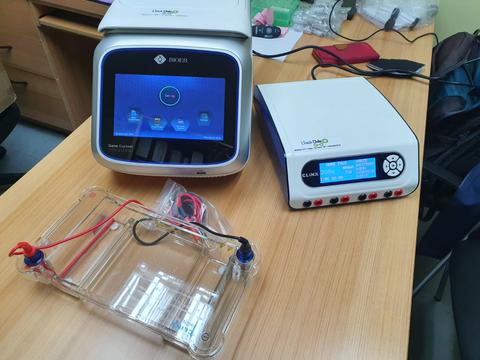 En la imagen se observa un sistema de electroforesis con dos dispositivos y una cámara de gel.