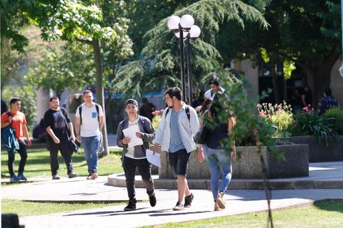 Estudiantes caminan por un parque universitario disfrutando del día soleado.