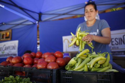 Una mujer está organizando vegetales en un puesto de mercado al aire libre.
