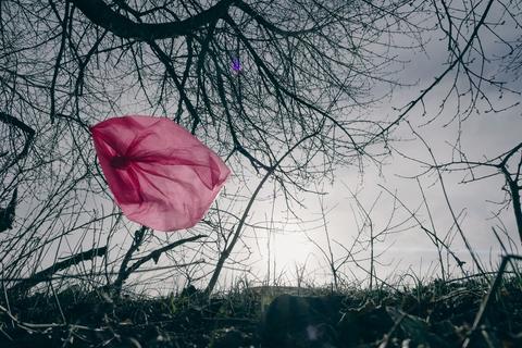 Un trozo de tela rosa flota entre ramas de un árbol en un paisaje desolado.
