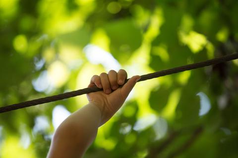 Una mano agarra una cuerda en medio de un entorno natural con hojas verdes al fondo.