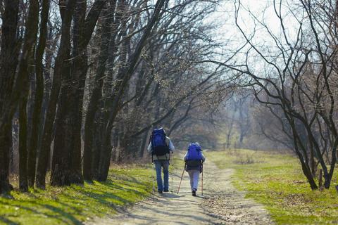 Un par de excursionistas caminan por un sendero rodeado de árboles en un día soleado.
