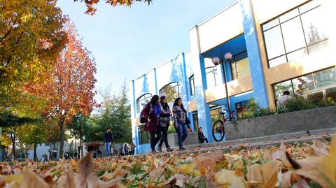 Un grupo de personas camina por una acera llena de hojas caídas en un día claro y soleado.