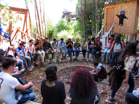 Un grupo de personas se reúne en un espacio natural alrededor de un círculo en el suelo, rodeados de árboles y estructuras de madera.