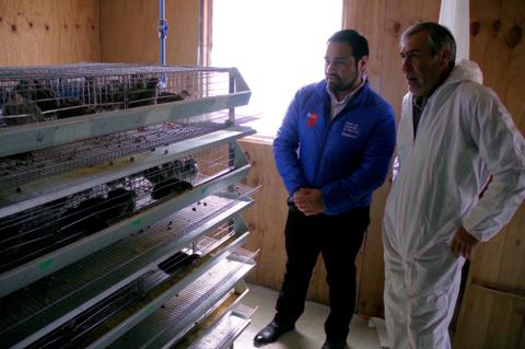 Dos hombres observan un sistema de jaulas en un ambiente interior.