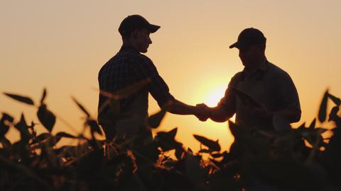 Dos hombres se saludan en un campo al atardecer.