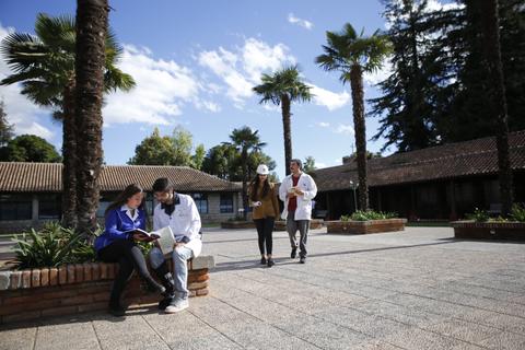 Un grupo de personas en un patio con palmeras, donde algunos están leyendo y otros caminan.