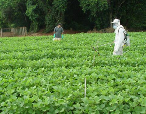Dos personas trabajan en un campo de cultivos verdes, uno de ellos rocía pesticidas mientras el otro observa.