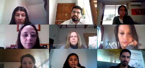 Un grupo de personas participando en una videoconferencia en cuadrantes en la pantalla.