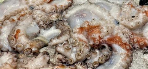 Una rica paila de pulpo fresco lista para ser cocinada.