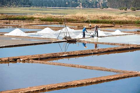 La imagen muestra un paisaje de salinas donde dos trabajadores están recolectando sal entre charcas de agua.
