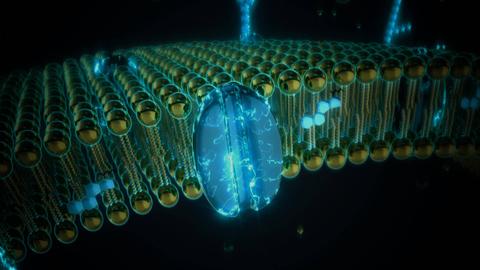 Esta imagen muestra una representación abstracta de estructuras moleculares en un entorno digital.