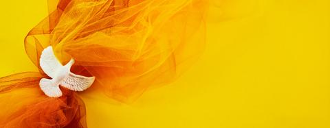 Una paloma blanca sobre un fondo amarillo con una textura de tul anaranjado.
