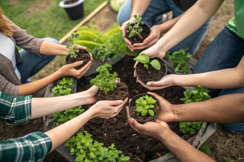 Un grupo de personas plantando en un huerto comunitario.