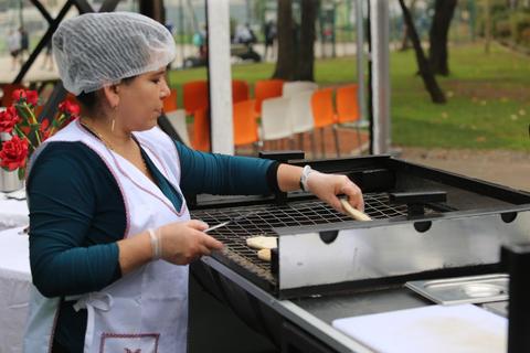 Una mujer cocina en una parrilla al aire libre mientras se encuentra en un ambiente de parque.