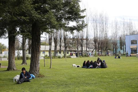 Un grupo de personas se reúne en un parque mientras una persona está sola bajo un árbol.