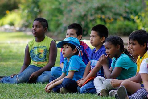 Un grupo de niños sentados en el césped observando atentamente.