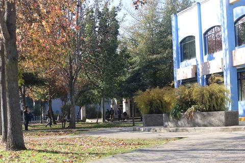 Un parque con árboles y un edificio azul al fondo, donde algunas personas están sentadas.