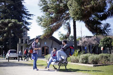 Un grupo de estudiantes conversando en un campus universitario durante un día soleado.