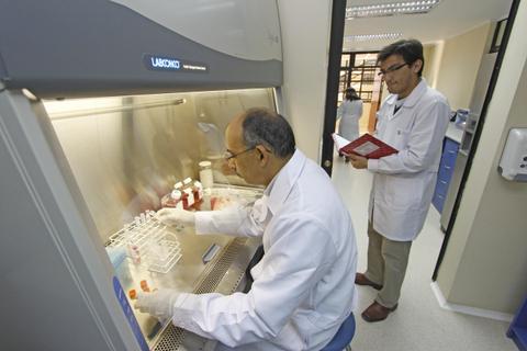 Dos científicos trabajan en un laboratorio, uno manipulando muestras en una campana de flujo laminar y el otro observando documentos.