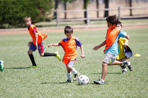 Un grupo de niños juega al fútbol en un campo al aire libre.