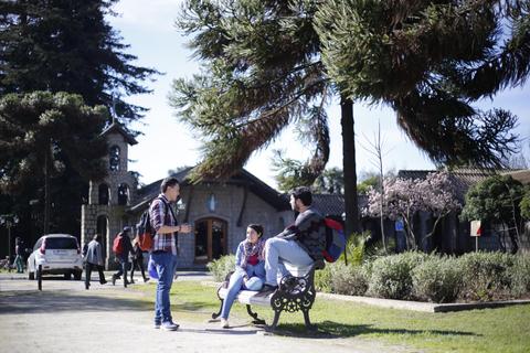 Un grupo de estudiantes conversando en un parque con árboles y edificios de fondo.