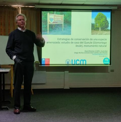 Un hombre presenta en una conferencia sobre la conservación de una especie amenazada relacionada con el Gomortega keule.