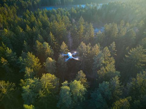 Un dron sobrevuela un bosque frondoso durante el atardecer.