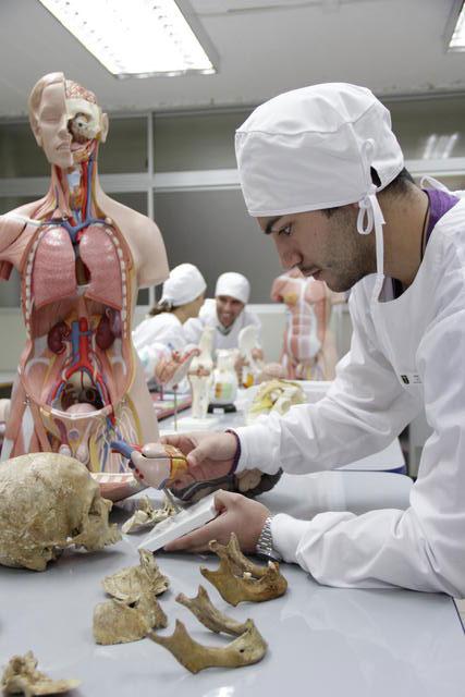 Un estudiante analiza restos óseos en un laboratorio de anatomía junto a un modelo humano.