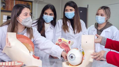Un grupo de cuatro estudiantes observa y manipula modelos anatómicos en una clase.