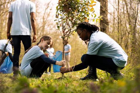 Un grupo de personas participa en la plantación de árboles en un área natural.