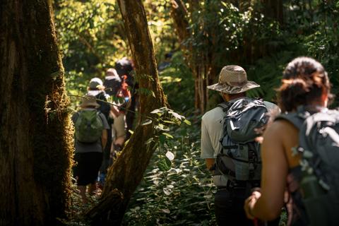 Un grupo de personas caminando por un sendero en un bosque frondoso.