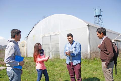 Un grupo de cuatro personas conversa afuera de un invernadero en un día soleado.
