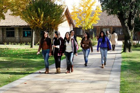 Un grupo de seis jóvenes camina por un sendero en un parque con árboles amarillos de fondo.