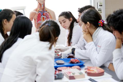 Un grupo de estudiantes observa detenidamente las muestras de anatomía en una clase práctica.