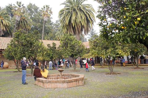 Un grupo de personas pasea por un jardín con árboles frutales y palmeras.