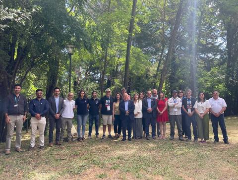 Un grupo de personas reunidas en un parque rodeado de árboles.