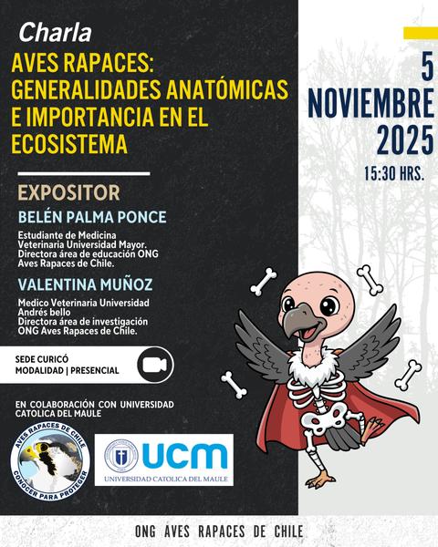 Charla sobre la importancia de las aves rapaces en el ecosistema.