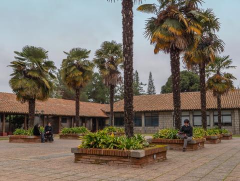 Una plaza rodeada de palmeras con personas sentadas disfrutando del paisaje.