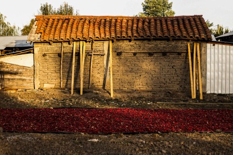 Una casa de adobe con techo de tejas y un camino de frutas secas al frente.