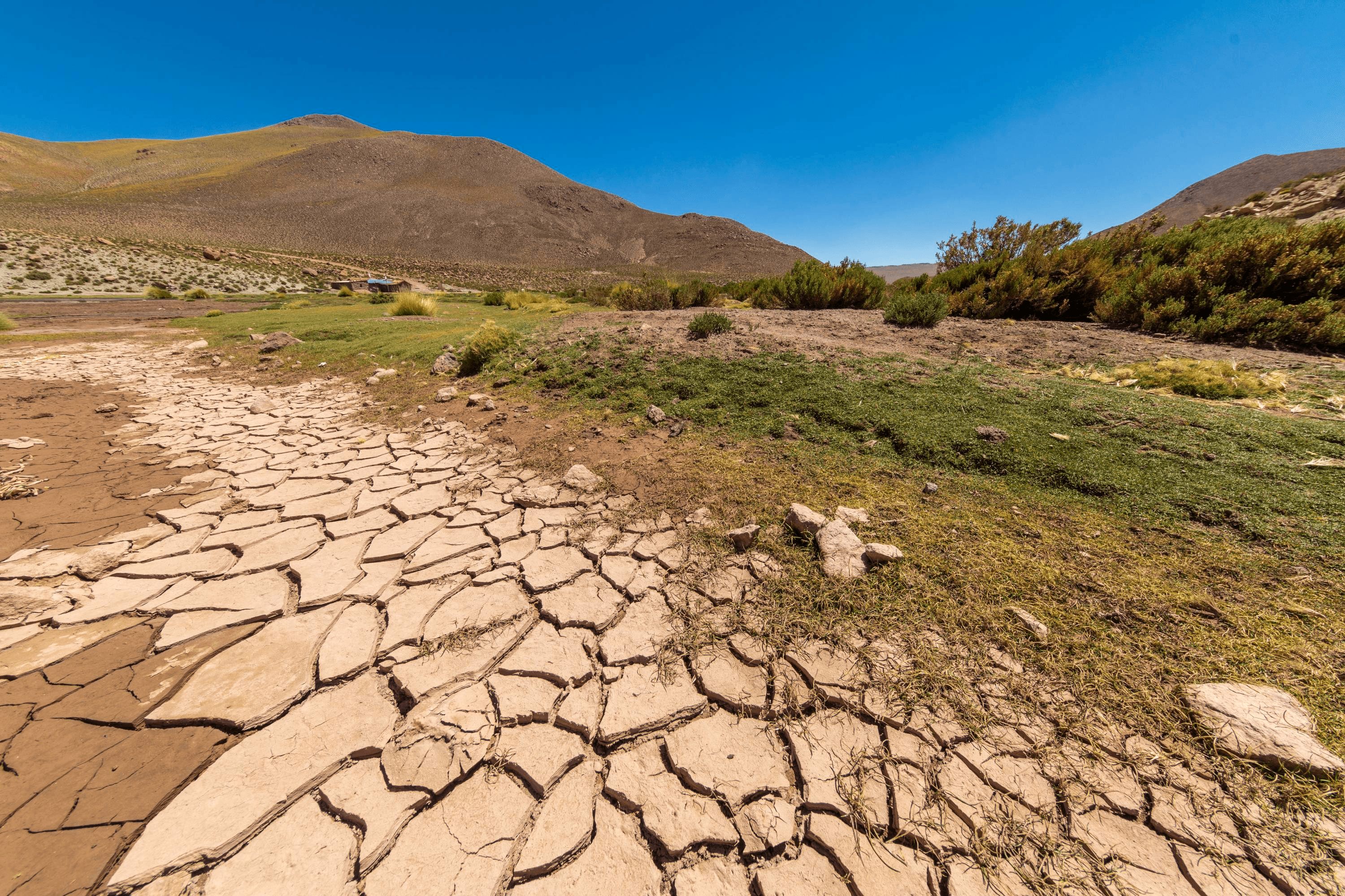 Cambio-Climatico-UCM.jpeg