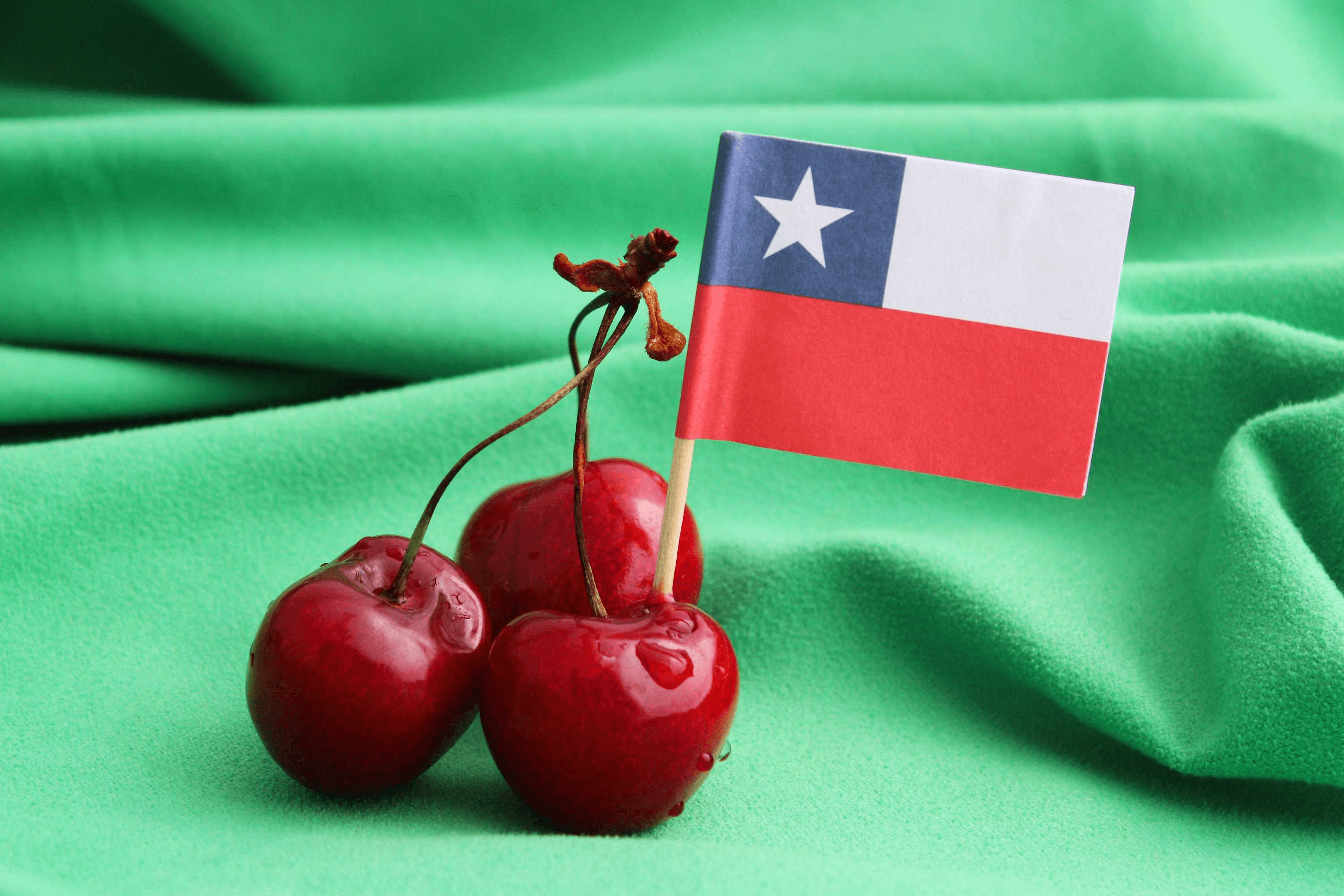 Fruta-Chile-UCM.jpeg