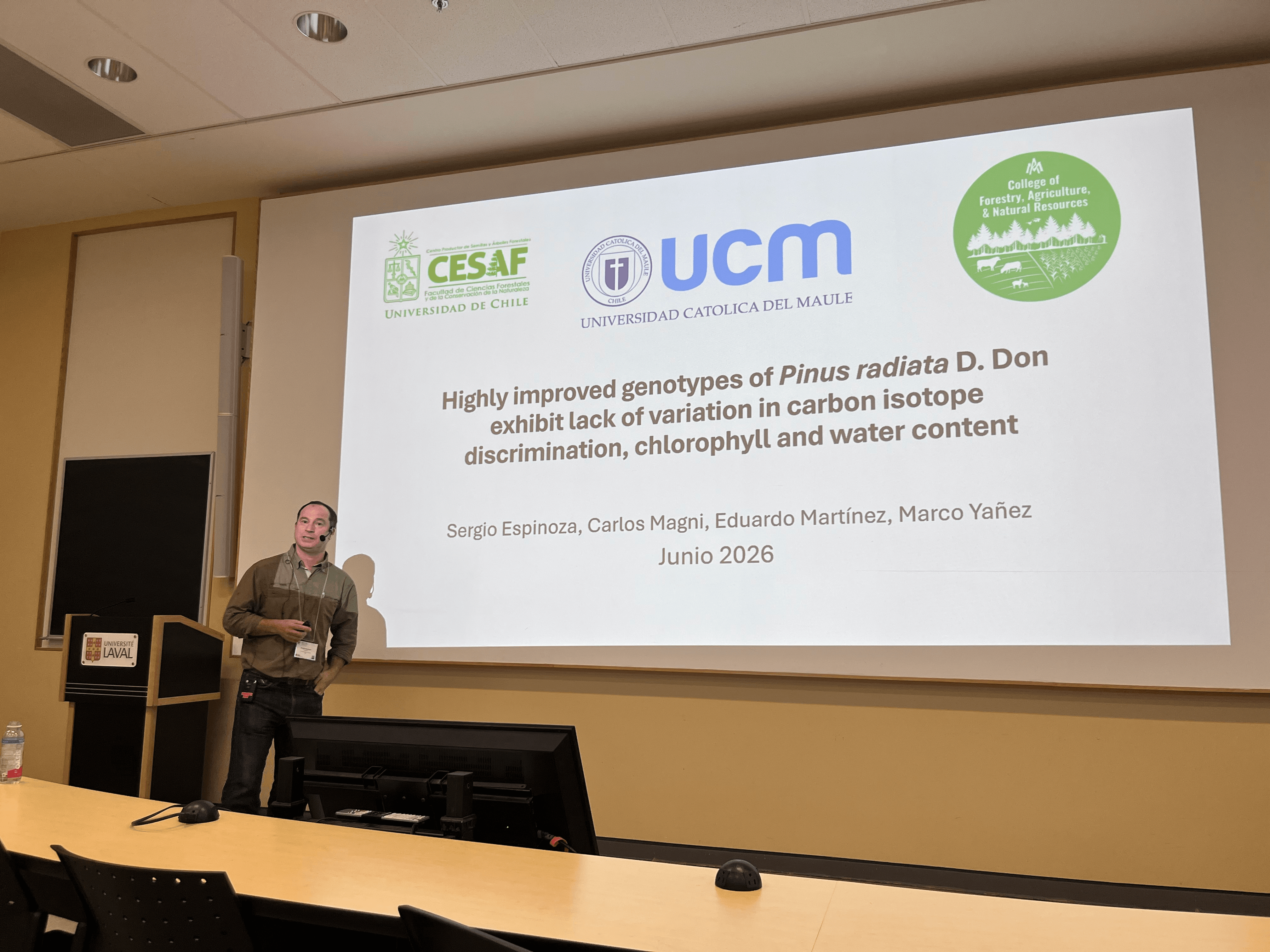 Presentación del estudio sobre genotipos mejorados de Pinus radiata en una sala de conferencias.